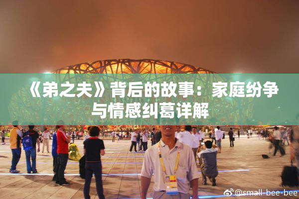 《弟之夫》背后的故事：家庭纷争与情感纠葛详解