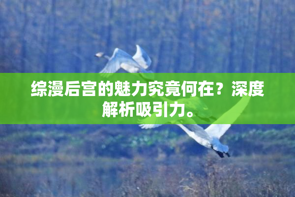 综漫后宫的魅力究竟何在？深度解析吸引力。