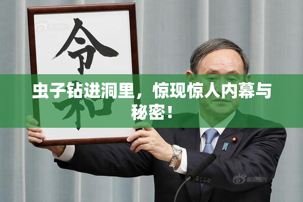 虫子钻进洞里，惊现惊人内幕与秘密！