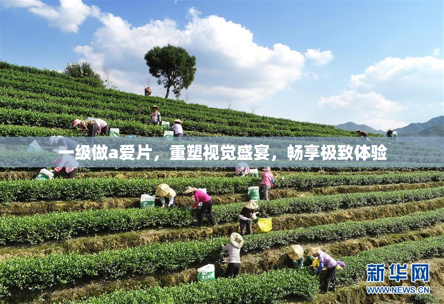 一级做a爱片，重塑视觉盛宴，畅享极致体验