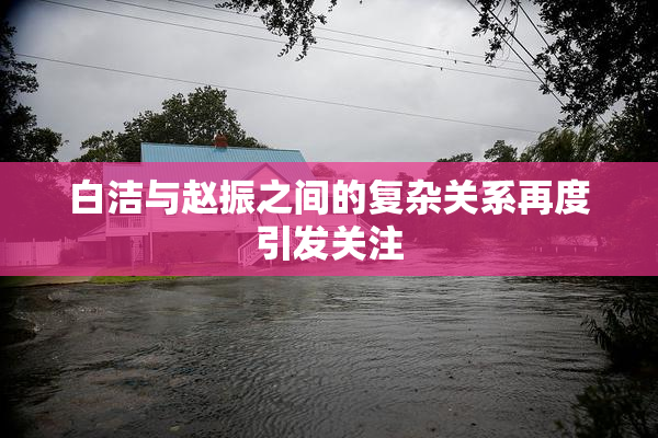 白洁与赵振之间的复杂关系再度引发关注