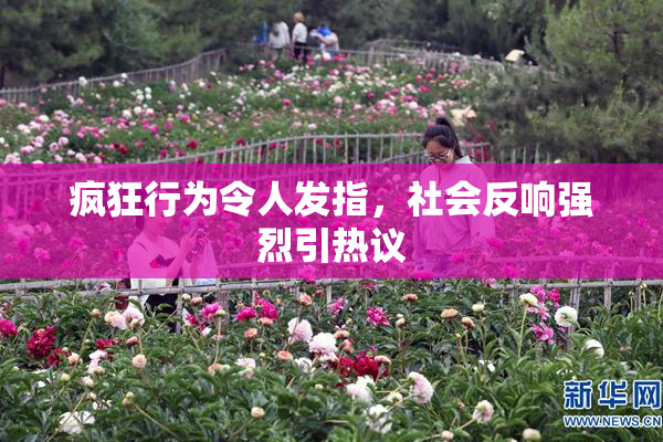 疯狂行为令人发指，社会反响强烈引热议