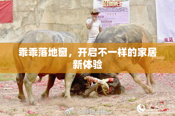 乖乖落地窗，开启不一样的家居新体验