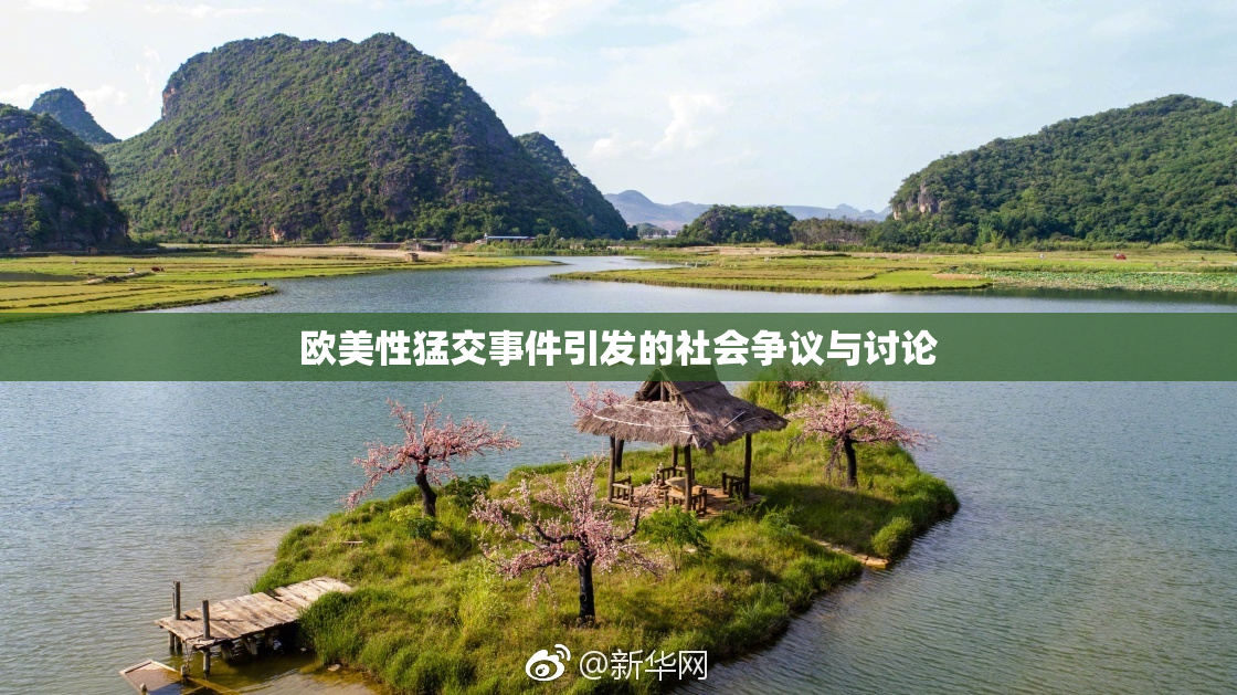 欧美性猛交事件引发的社会争议与讨论