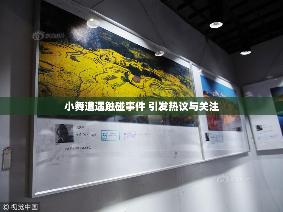 小舞遭遇触碰事件 引发热议与关注