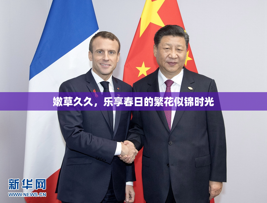 嫩草久久，乐享春日的繁花似锦时光