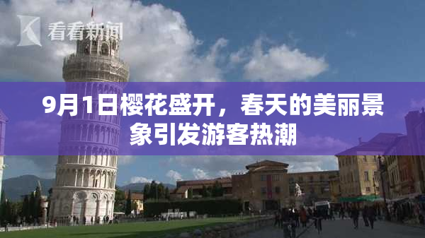 9月1日樱花盛开，春天的美丽景象引发游客热潮