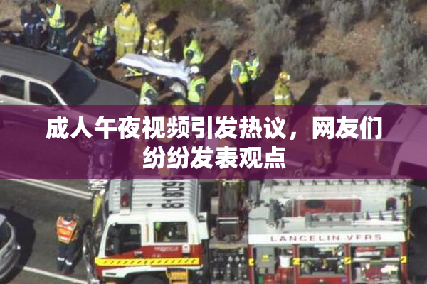 成人午夜视频引发热议，网友们纷纷发表观点