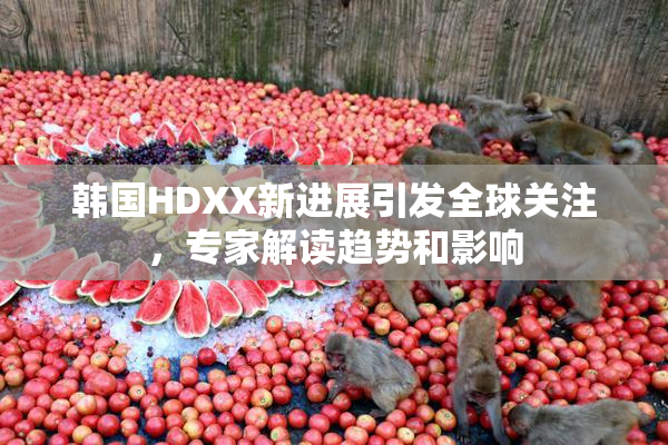 韩国HDXX新进展引发全球关注，专家解读趋势和影响