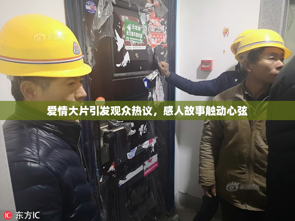 爱情大片引发观众热议，感人故事触动心弦