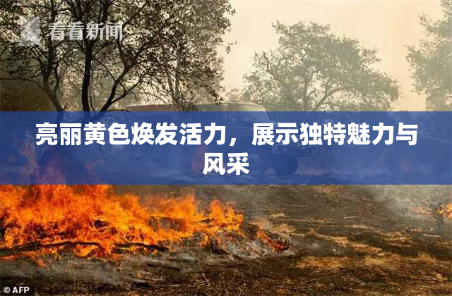 亮丽黄色焕发活力，展示独特魅力与风采