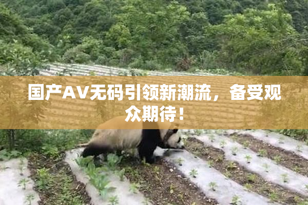 国产AV无码引领新潮流，备受观众期待！