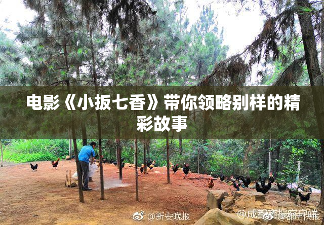 电影《小扳七香》带你领略别样的精彩故事