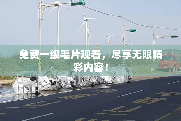 免费一级毛片观看，尽享无限精彩内容！