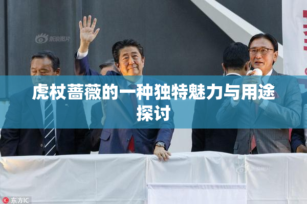 虎杖蔷薇的一种独特魅力与用途探讨