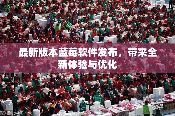 最新版本蓝莓软件发布，带来全新体验与优化