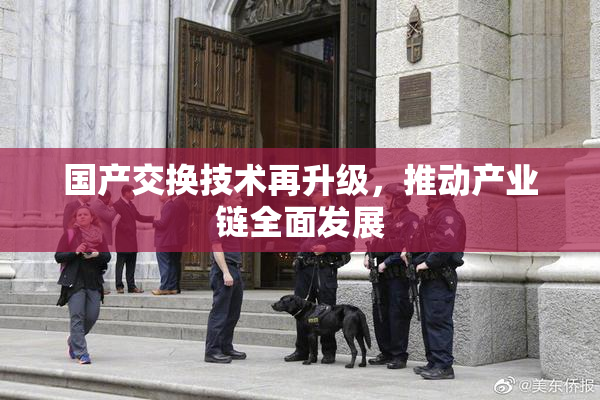 国产交换技术再升级，推动产业链全面发展