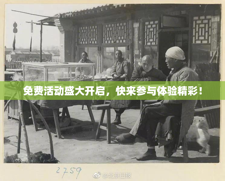 免费活动盛大开启，快来参与体验精彩！