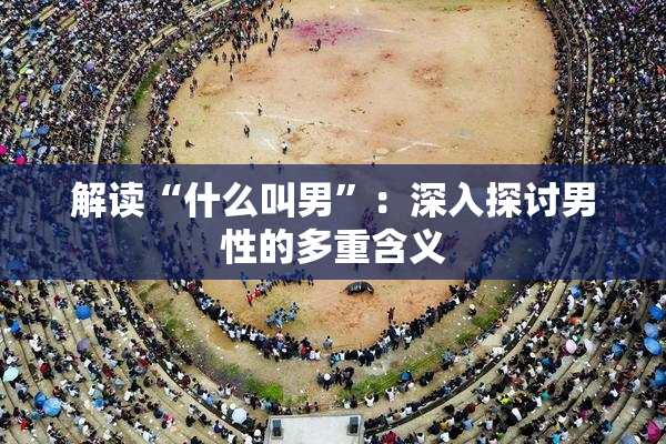 解读“什么叫男”：深入探讨男性的多重含义
