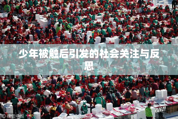 少年被触后引发的社会关注与反思
