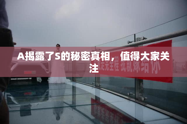 A揭露了S的秘密真相，值得大家关注