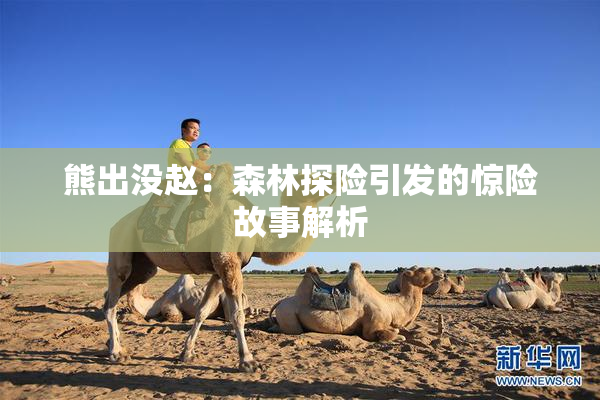 熊出没赵：森林探险引发的惊险故事解析
