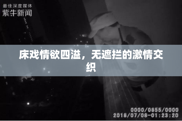 床戏情欲四溢，无遮拦的激情交织