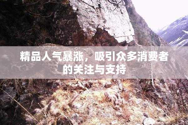 精品人气暴涨，吸引众多消费者的关注与支持