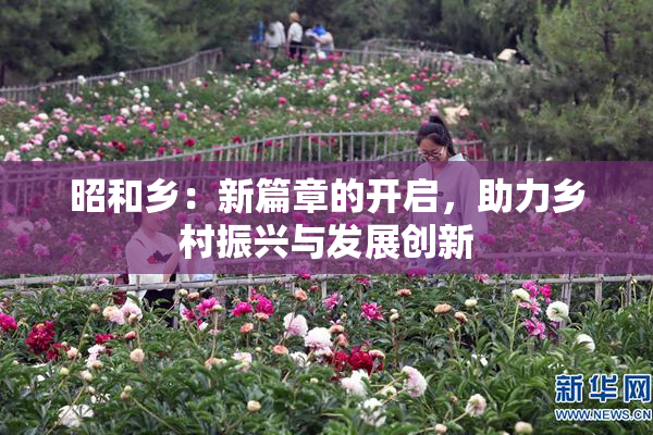昭和乡：新篇章的开启，助力乡村振兴与发展创新