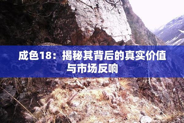 成色18：揭秘其背后的真实价值与市场反响