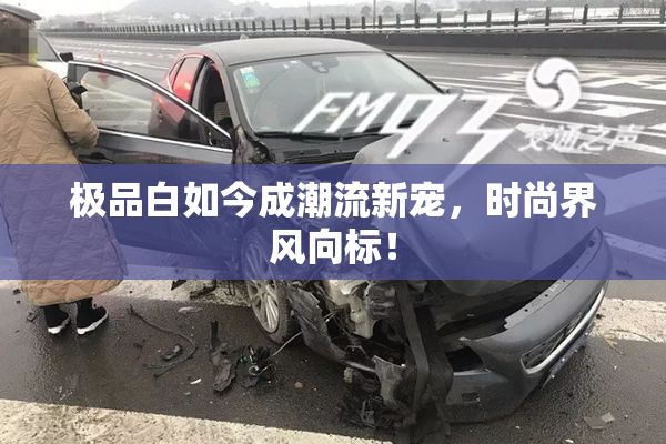极品白如今成潮流新宠，时尚界风向标！
