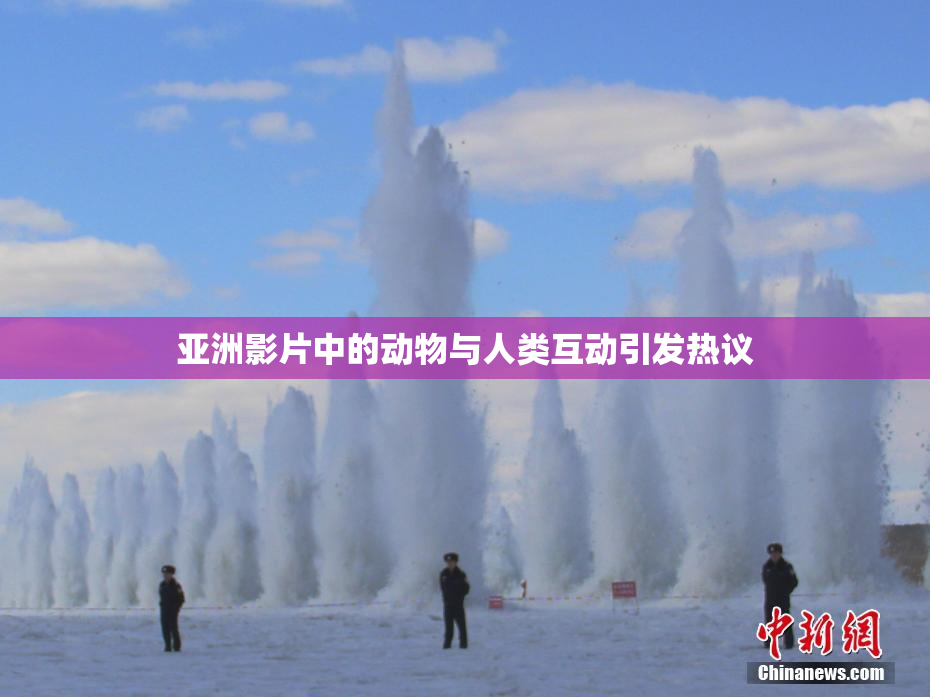 亚洲影片中的动物与人类互动引发热议