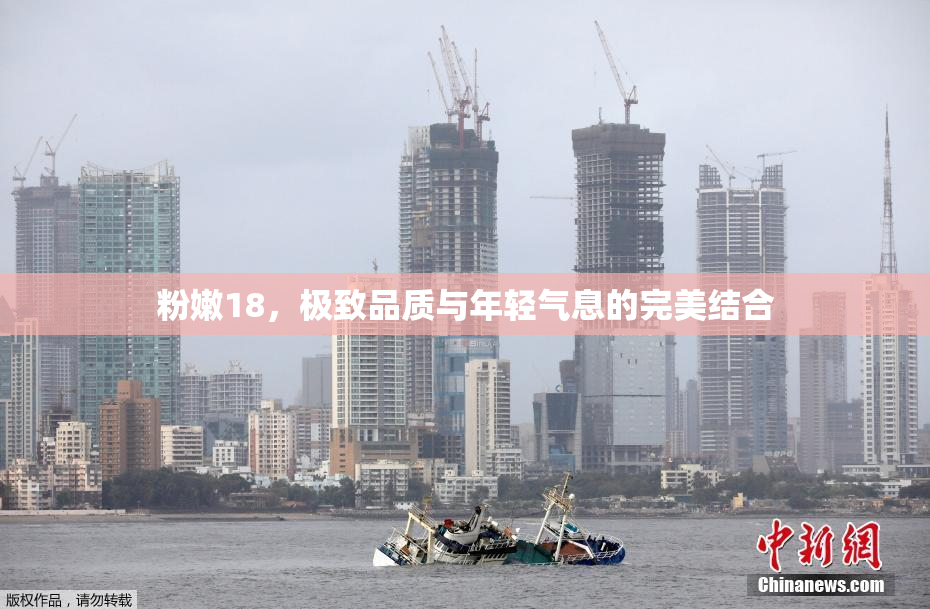 粉嫩18，极致品质与年轻气息的完美结合