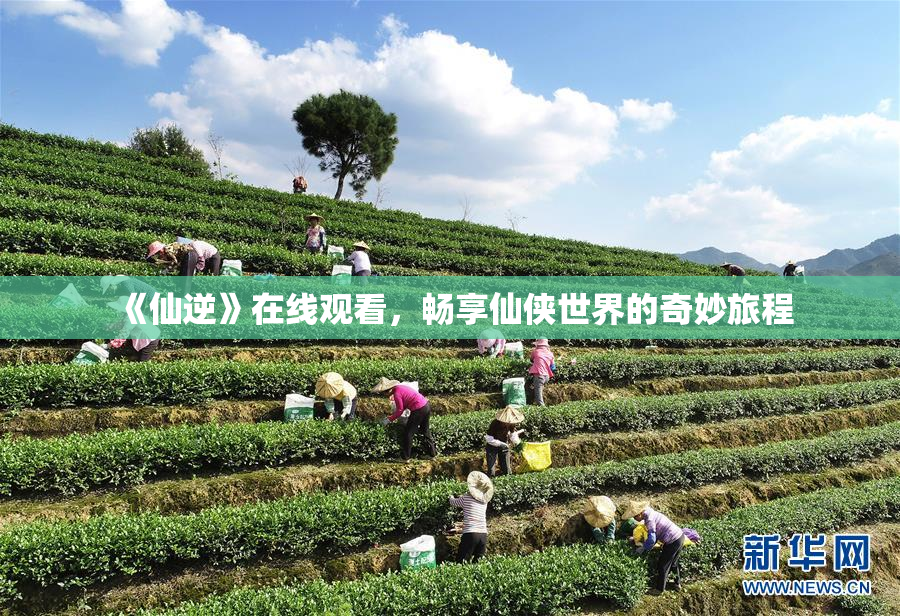《仙逆》在线观看，畅享仙侠世界的奇妙旅程