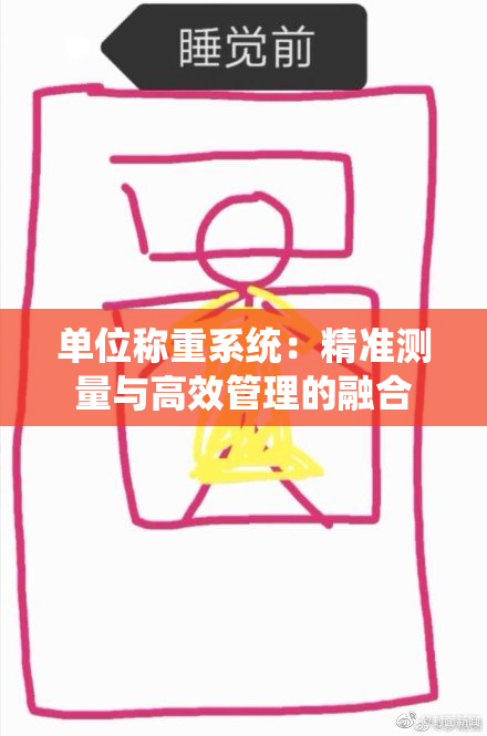 单位称重系统：精准测量与高效管理的融合