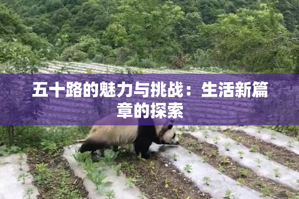 五十路的魅力与挑战：生活新篇章的探索