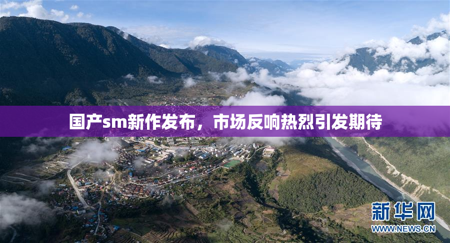 国产sm新作发布，市场反响热烈引发期待