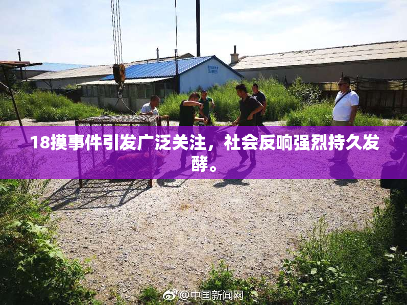 18摸事件引发广泛关注，社会反响强烈持久发酵。