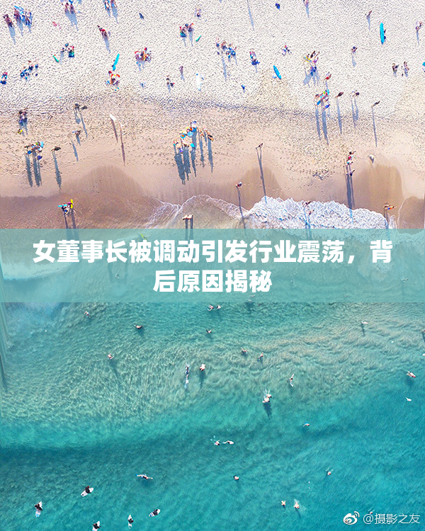 女董事长被调动引发行业震荡，背后原因揭秘