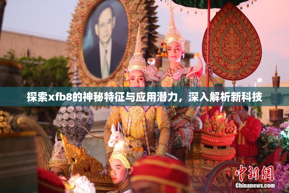 探索xfb8的神秘特征与应用潜力，深入解析新科技