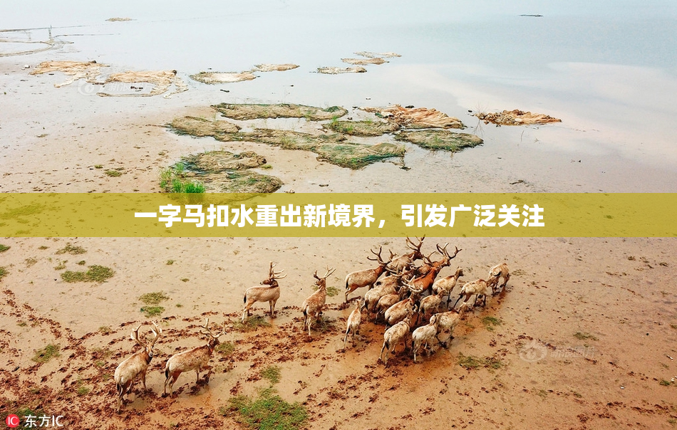 一字马扣水重出新境界，引发广泛关注