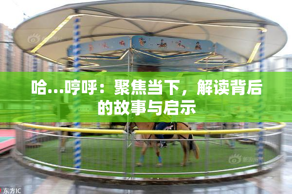 哈…哼呼：聚焦当下，解读背后的故事与启示