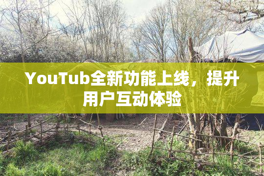 YouTub全新功能上线，提升用户互动体验