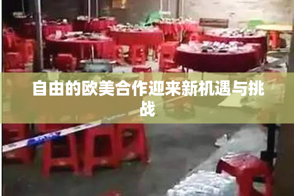 自由的欧美合作迎来新机遇与挑战