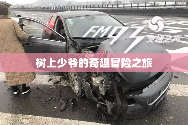 树上少爷的奇趣冒险之旅