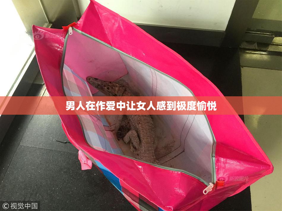 男人在作爱中让女人感到极度愉悦