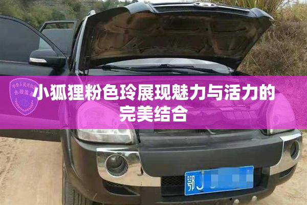 小狐狸粉色玲展现魅力与活力的完美结合