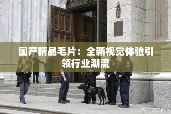 国产精品毛片：全新视觉体验引领行业潮流