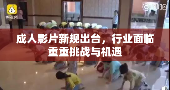 成人影片新规出台，行业面临重重挑战与机遇