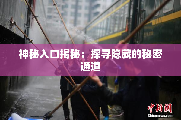 神秘入口揭秘：探寻隐藏的秘密通道